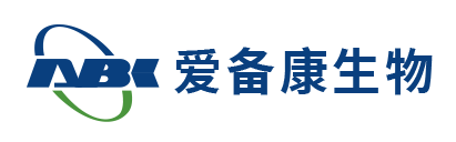 我的网站